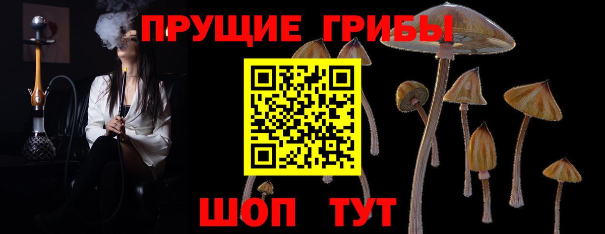 Краснодар  Галлюциногенные грибы Cubensis  Вход с VPN 